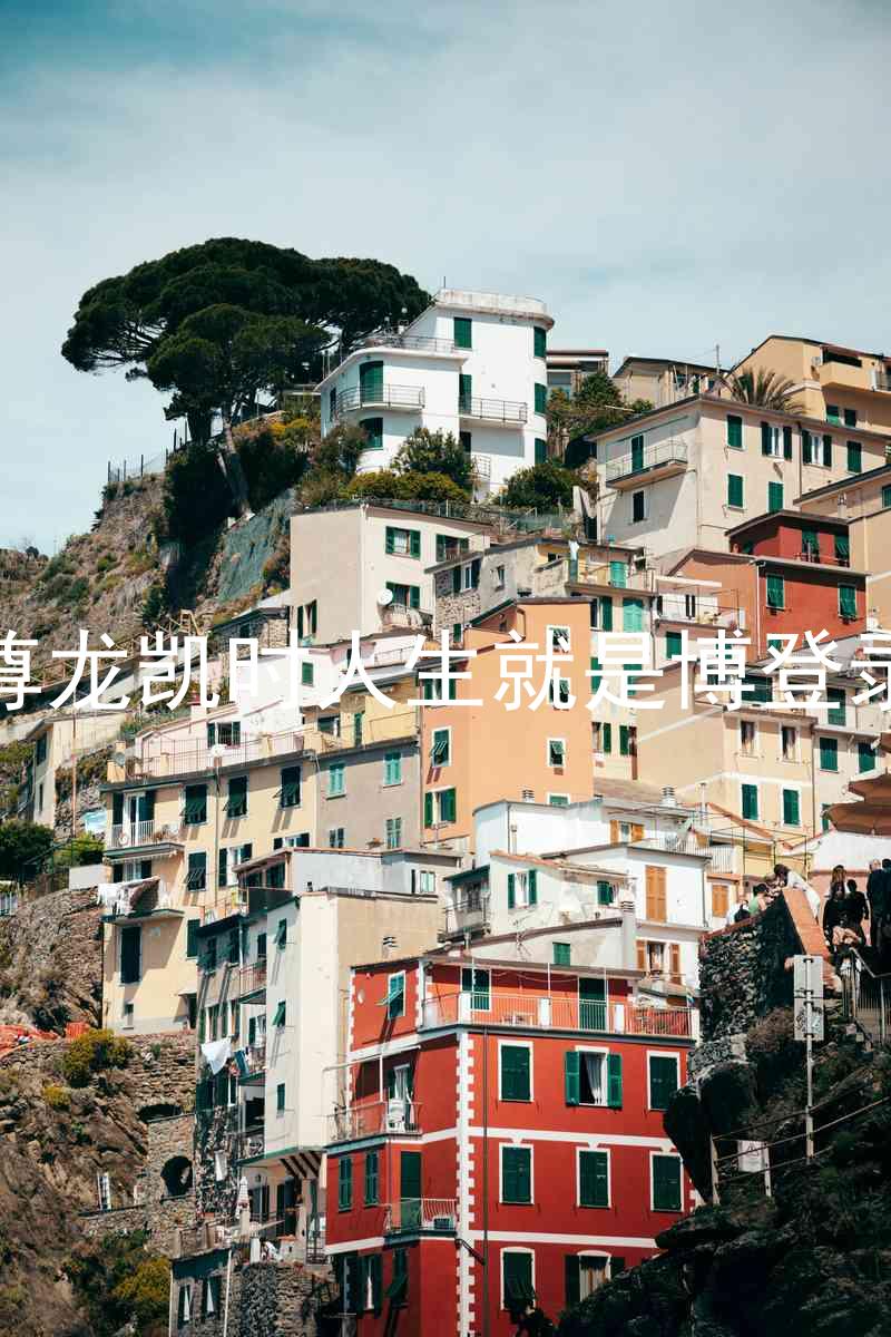 尊龙凯时人生就是博登录
