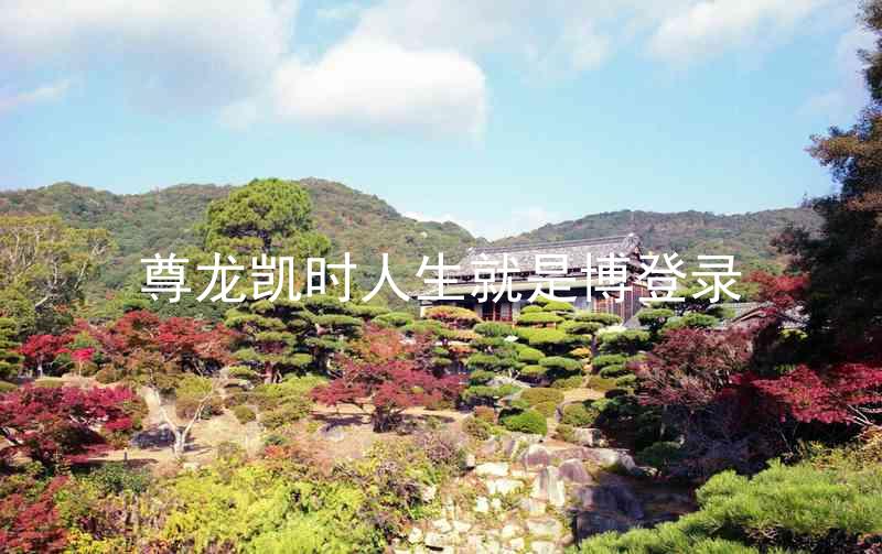 尊龙凯时人生就是博登录