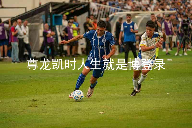 尊龙凯时人生就是博登录